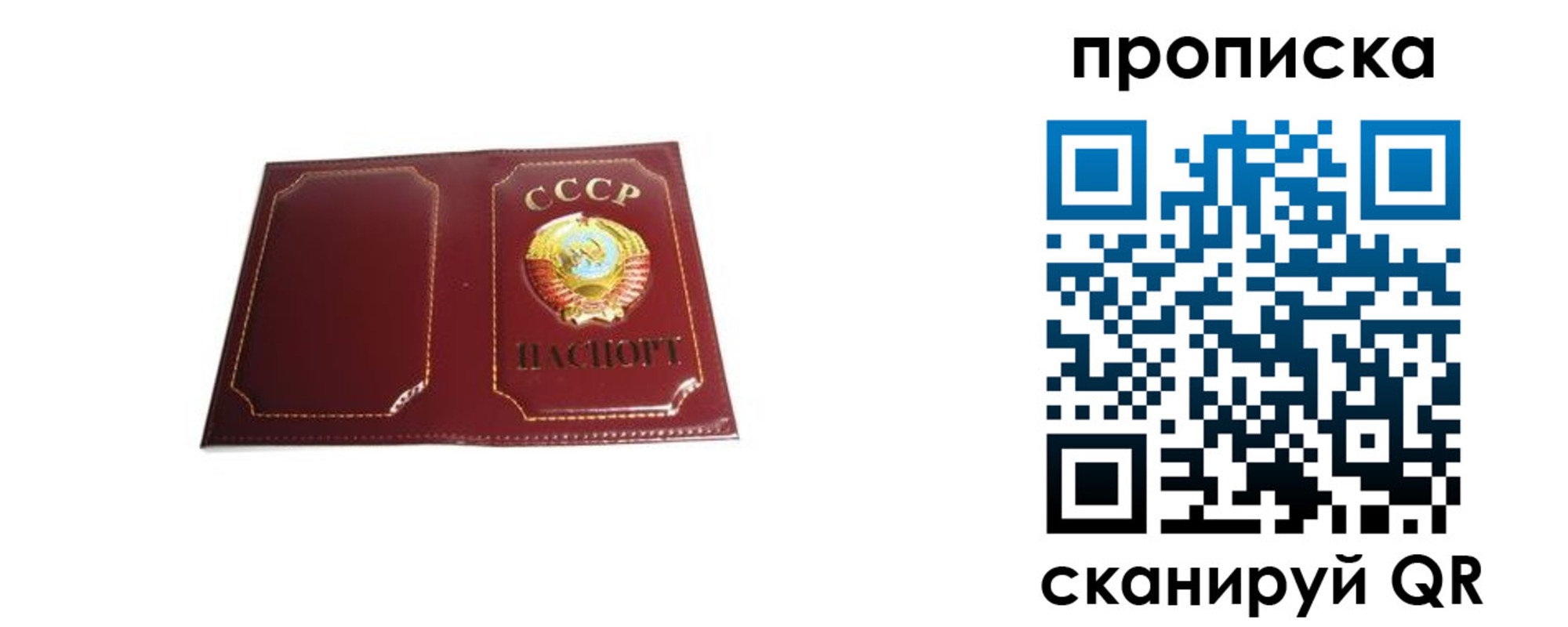 прописка гарантия в Подпорожье
